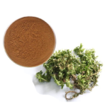 huperzia-serrata-extract.png